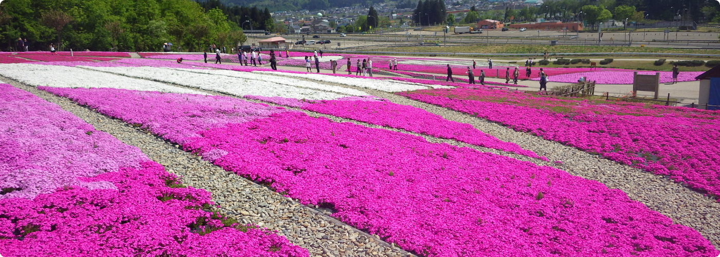 公園写真