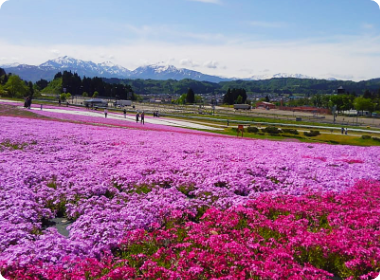 芝桜広場から見る越後三山