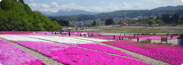 花と緑と雪の里写真