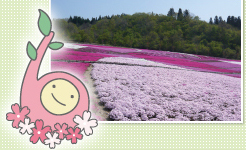 根小屋花と緑と雪の里