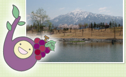 八色の森公園