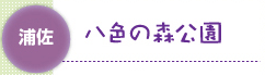 八色の森公園