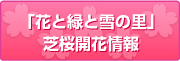 「花と緑と雪の里」芝桜開花情報