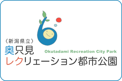 ダミー画像