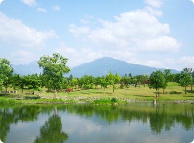 八色の森公園写真